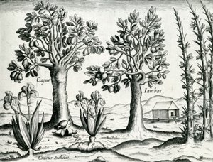 Landscape, Illustration from 
